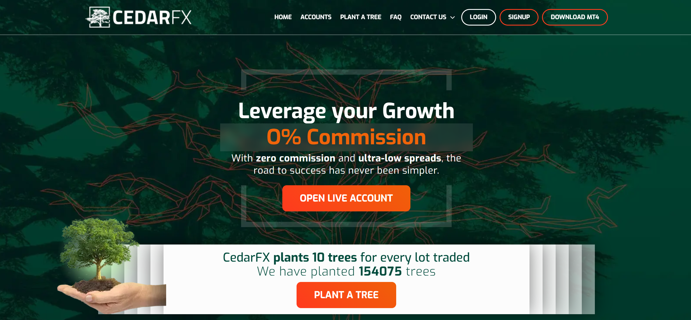 Cedar Ltd