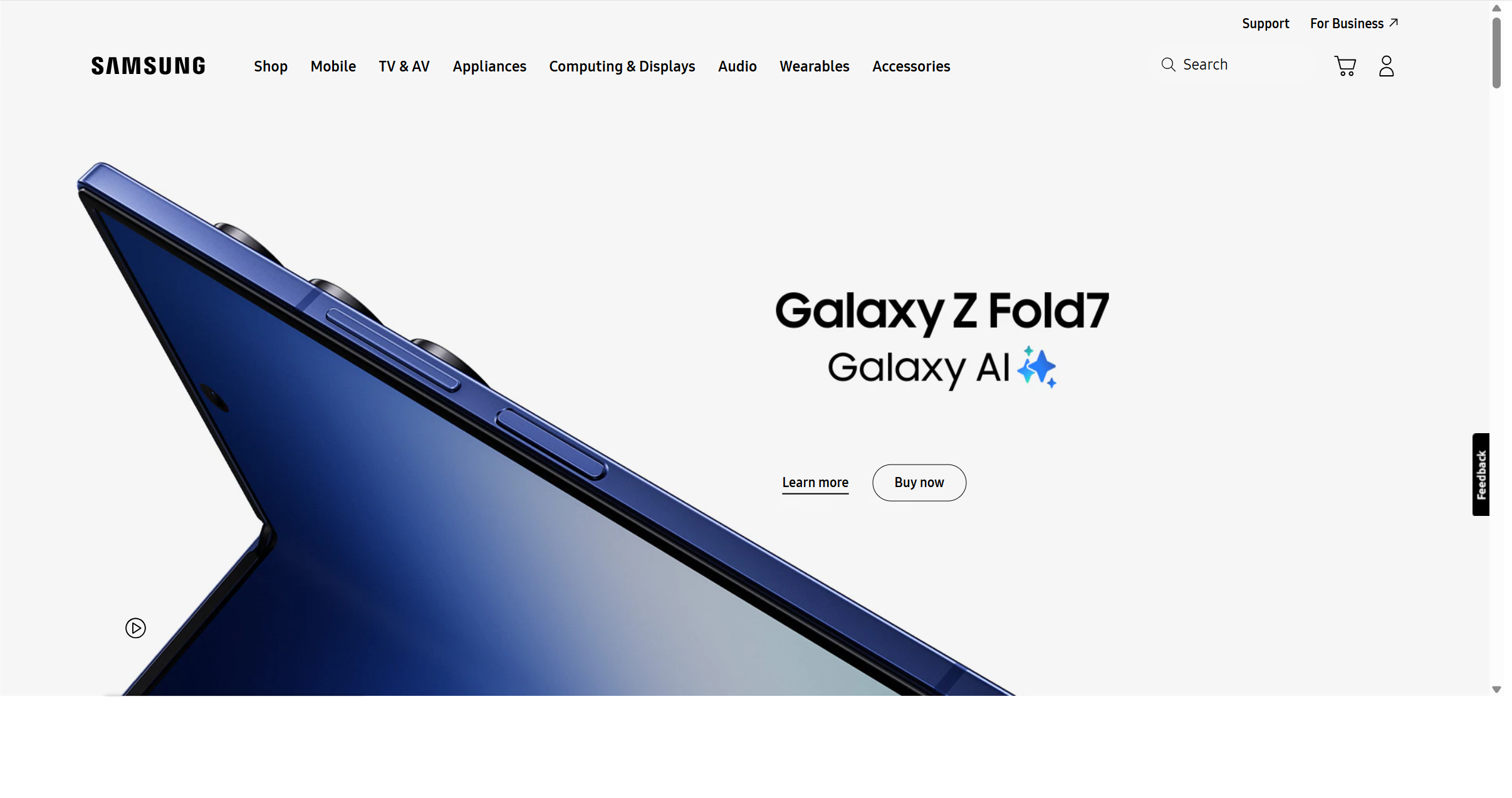 Samsung Electronics